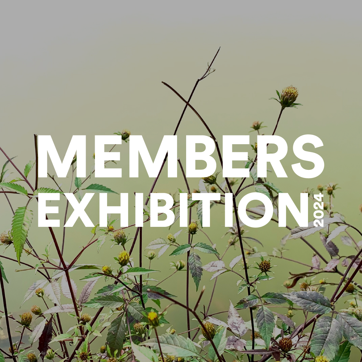 Members Exhibition 2024 text with photo artwork by Dorothy Oja, flowers, buds, and branches with a green and white background