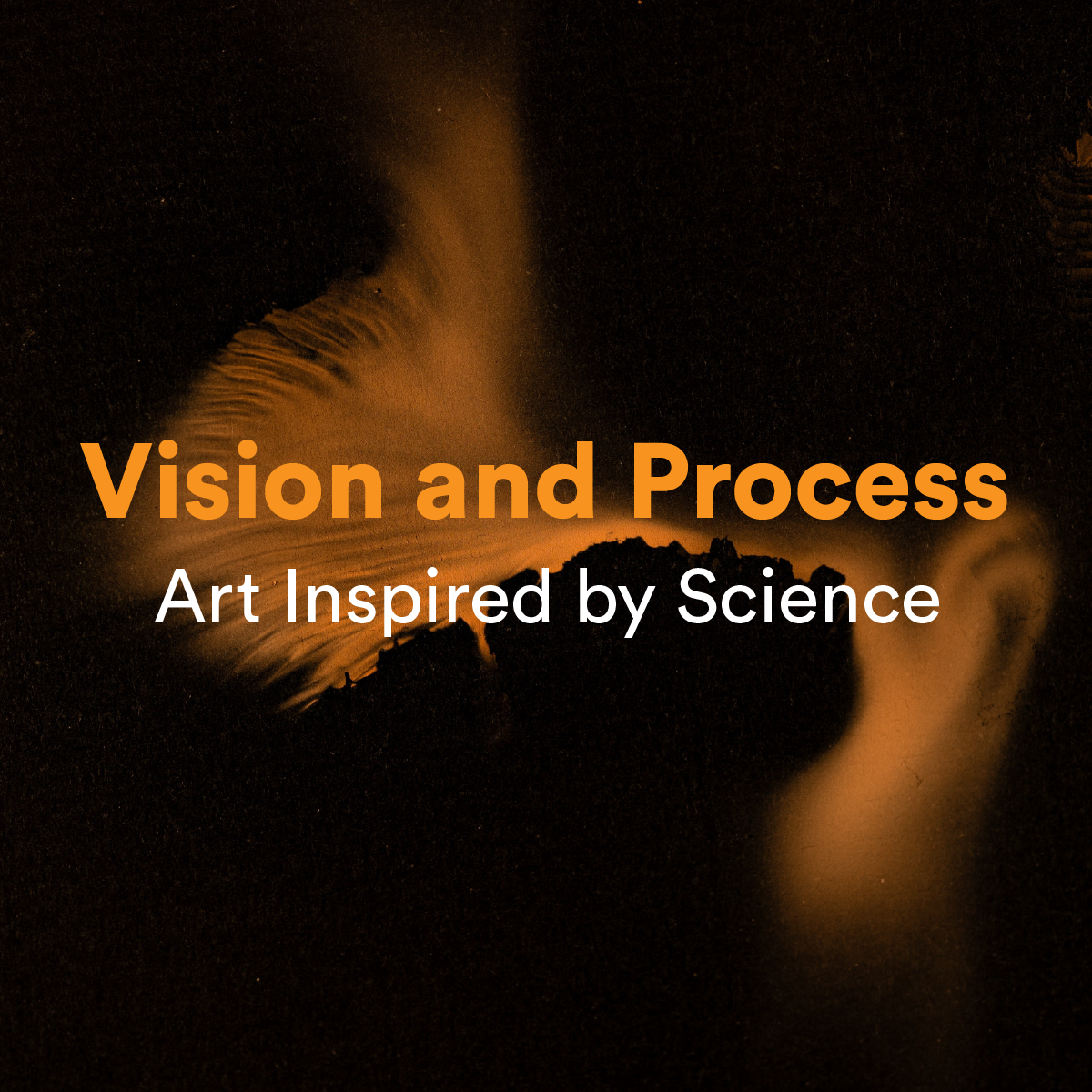 Vision and Process web square