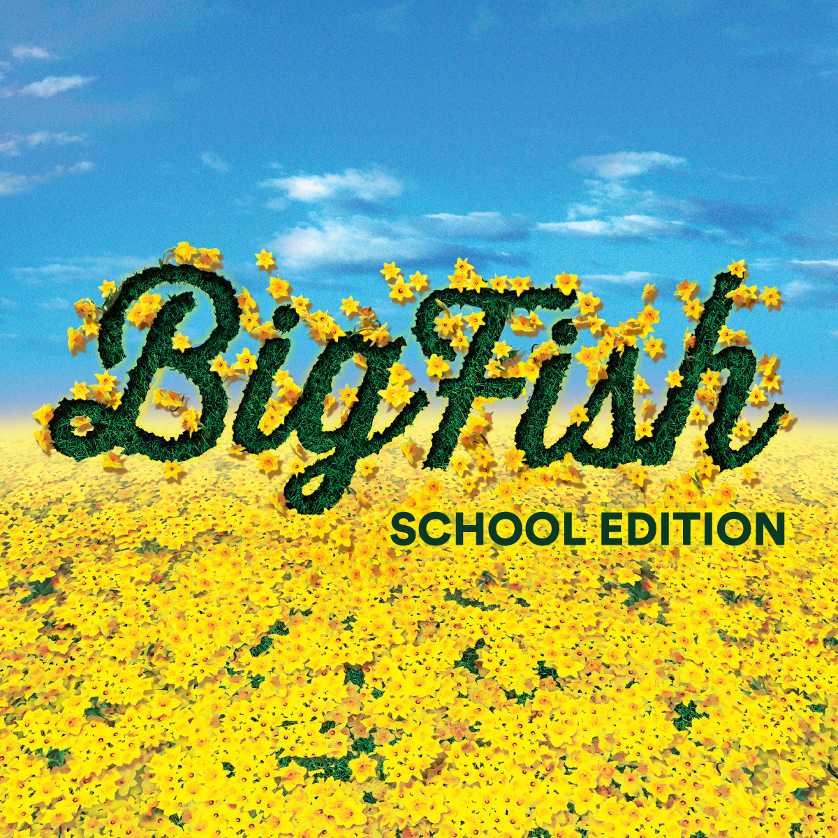 Big Fish Logo